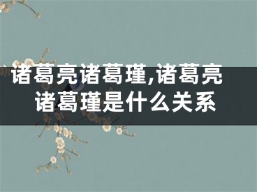 诸葛亮诸葛瑾,诸葛亮诸葛瑾是什么关系