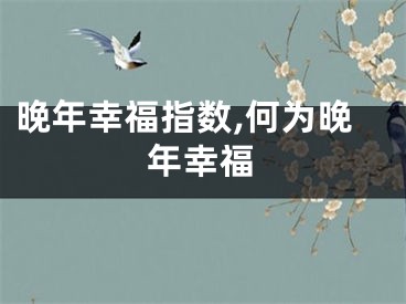 晚年幸福指数,何为晚年幸福