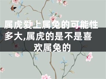 属虎爱上属兔的可能性多大,属虎的是不是喜欢属兔的