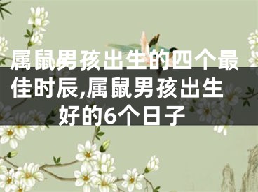 属鼠男孩出生的四个最佳时辰,属鼠男孩出生好的6个日子