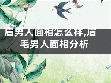 眉男人面相怎么样,眉毛男人面相分析