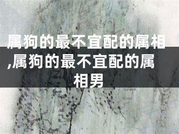 属狗的最不宜配的属相,属狗的最不宜配的属相男