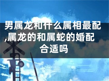 男属龙和什么属相最配,属龙的和属蛇的婚配合适吗