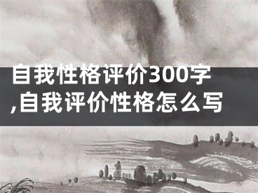 自我性格评价300字,自我评价性格怎么写