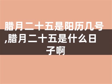 腊月二十五是阳历几号,腊月二十五是什么日子啊