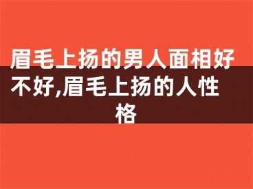 眉毛上扬的男人面相好不好,眉毛上扬的人性格