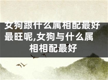 女狗跟什么属相配最好最旺呢,女狗与什么属相相配最好