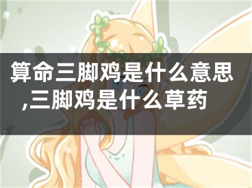 算命三脚鸡是什么意思,三脚鸡是什么草药