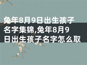 兔年8月9日出生孩子名字集锦,兔年8月9日出生孩子名字怎么取