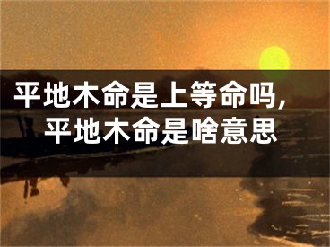 平地木命是上等命吗,平地木命是啥意思