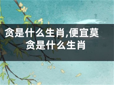 贪是什么生肖,便宜莫贪是什么生肖