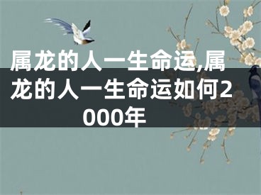 属龙的人一生命运,属龙的人一生命运如何2000年