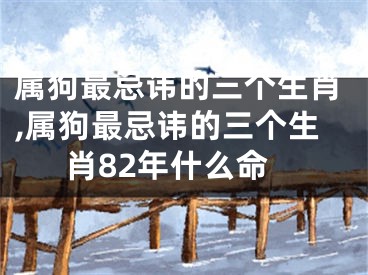属狗最忌讳的三个生肖,属狗最忌讳的三个生肖82年什么命