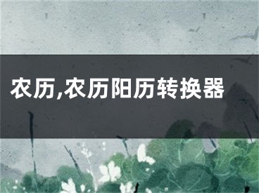 农历,农历阳历转换器