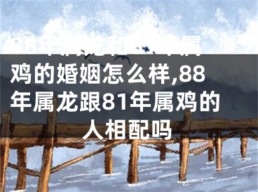 88年属龙和81年属鸡的婚姻怎么样,88年属龙跟81年属鸡的人相配吗