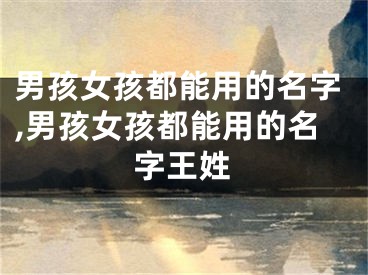 男孩女孩都能用的名字,男孩女孩都能用的名字王姓