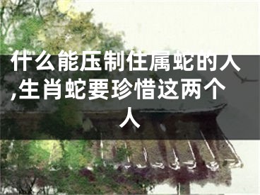 什么能压制住属蛇的人,生肖蛇要珍惜这两个人