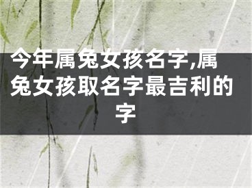 今年属兔女孩名字,属兔女孩取名字最吉利的字