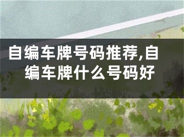 自编车牌号码推荐,自编车牌什么号码好