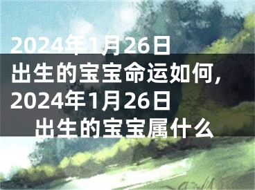 2024年1月26日出生的宝宝命运如何,2024年1月26日出生的宝宝属什么