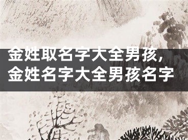 金姓取名字大全男孩,金姓名字大全男孩名字