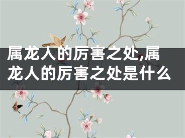 属龙人的厉害之处,属龙人的厉害之处是什么