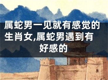 属蛇男一见就有感觉的生肖女,属蛇男遇到有好感的