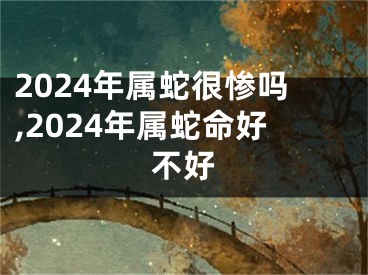 2024年属蛇很惨吗,2024年属蛇命好不好