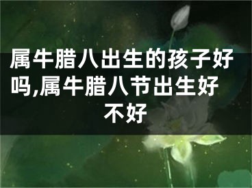 属牛腊八出生的孩子好吗,属牛腊八节出生好不好