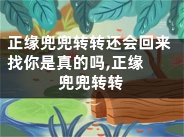 正缘兜兜转转还会回来找你是真的吗,正缘 兜兜转转