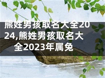 熊姓男孩取名大全2024,熊姓男孩取名大全2023年属兔