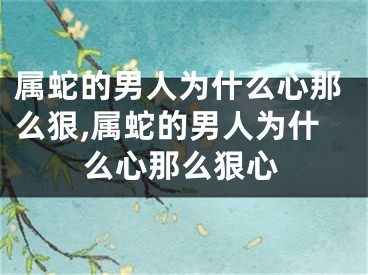 属蛇的男人为什么心那么狠,属蛇的男人为什么心那么狠心