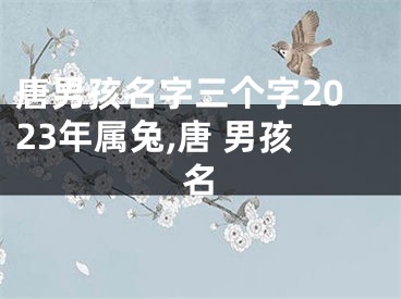 唐男孩名字三个字2023年属兔,唐 男孩名
