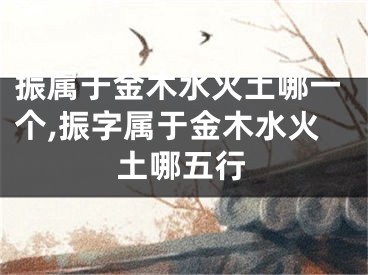 振属于金木水火土哪一个,振字属于金木水火土哪五行