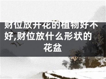 财位放开花的植物好不好,财位放什么形状的花盆