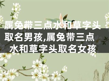 属兔带三点水和草字头取名男孩,属兔带三点水和草字头取名女孩