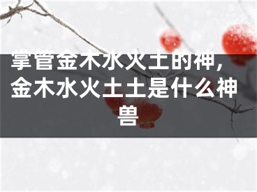 掌管金木水火土的神,金木水火土土是什么神兽