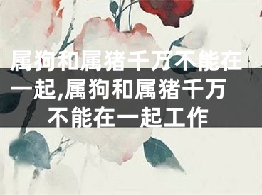 属狗和属猪千万不能在一起,属狗和属猪千万不能在一起工作