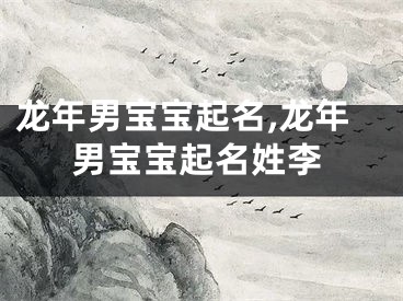 龙年男宝宝起名,龙年男宝宝起名姓李
