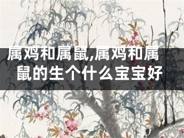 属鸡和属鼠,属鸡和属鼠的生个什么宝宝好