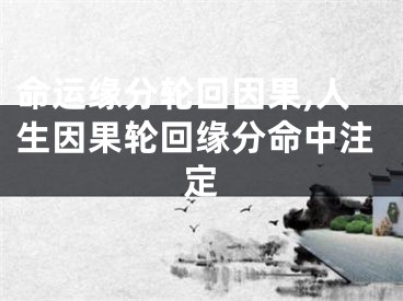 命运缘分轮回因果,人生因果轮回缘分命中注定