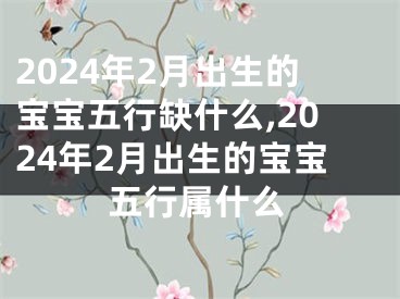 2024年2月出生的宝宝五行缺什么,2024年2月出生的宝宝五行属什么