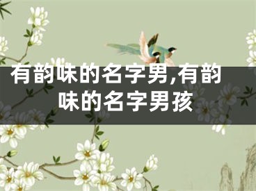 有韵味的名字男,有韵味的名字男孩