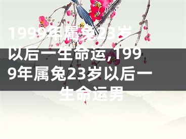 1999年属兔23岁以后一生命运,1999年属兔23岁以后一生命运男
