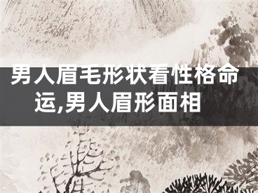 男人眉毛形状看性格命运,男人眉形面相