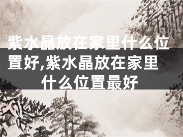 紫水晶放在家里什么位置好,紫水晶放在家里什么位置最好