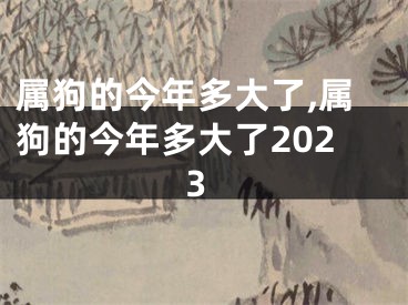属狗的今年多大了,属狗的今年多大了2023