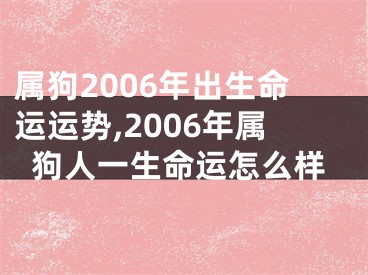 属狗2006年出生命运运势,2006年属狗人一生命运怎么样