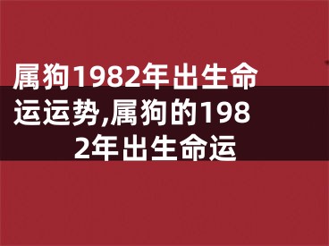 属狗1982年出生命运运势,属狗的1982年出生命运