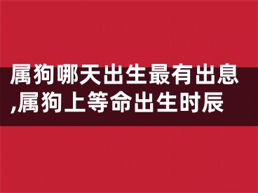 属狗哪天出生最有出息,属狗上等命出生时辰
